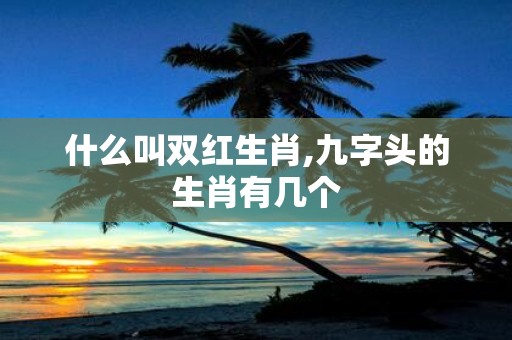 什么叫双红生肖,九字头的生肖有几个