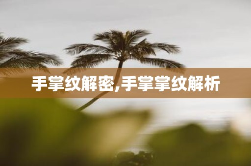 手掌纹解密,手掌掌纹解析