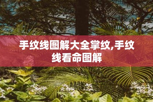 手纹线图解大全掌纹,手纹线看命图解