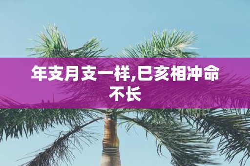 年支月支一样,巳亥相冲命不长