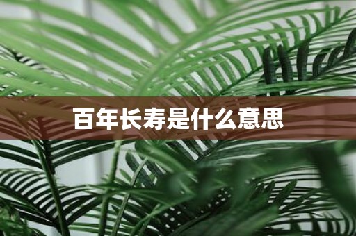 百年长寿是什么意思