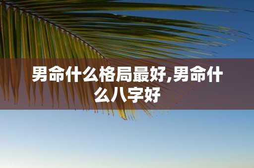 男命什么格局最好,男命什么八字好