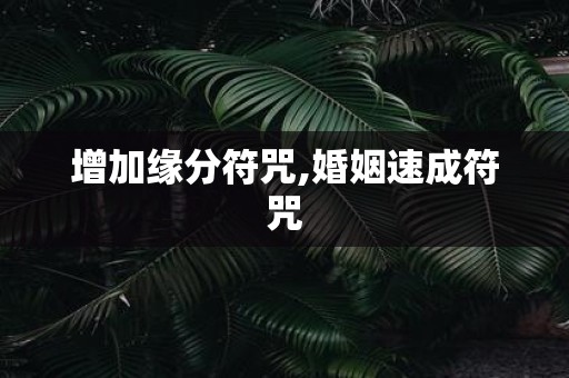 增加缘分符咒,婚姻速成符咒