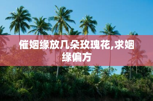 催姻缘放几朵玫瑰花,求姻缘偏方