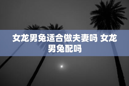 女龙男兔适合做夫妻吗 女龙男兔配吗