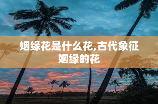 姻缘花是什么花,古代象征姻缘的花
