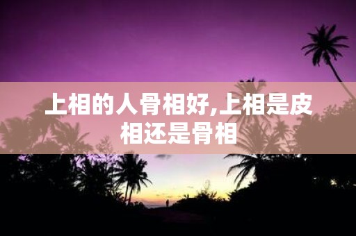 上相的人骨相好,上相是皮相还是骨相