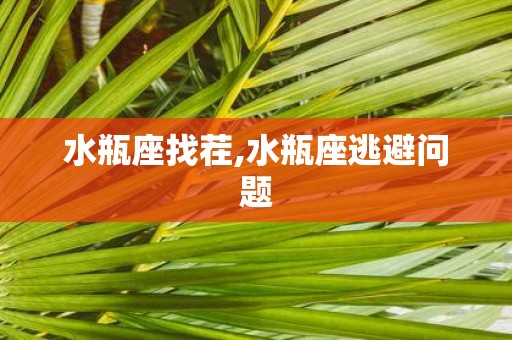 水瓶座找茬,水瓶座逃避问题