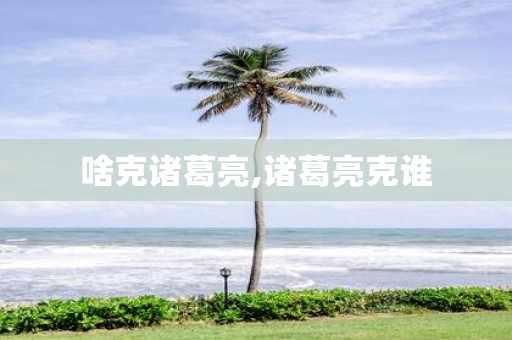 啥克诸葛亮,诸葛亮克谁