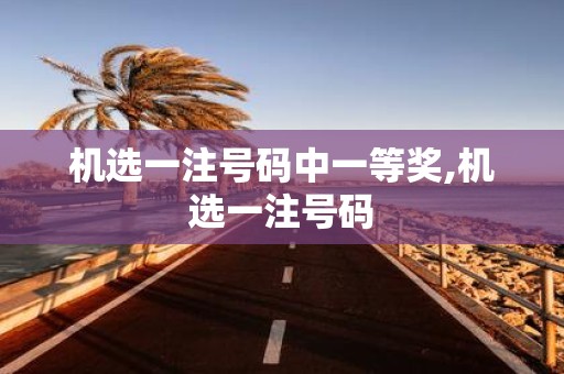 机选一注号码中一等奖,机选一注号码