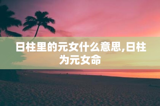 日柱里的元女什么意思,日柱为元女命