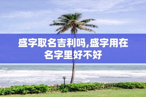 盛字取名吉利吗,盛字用在名字里好不好