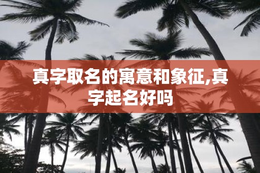 真字取名的寓意和象征,真字起名好吗