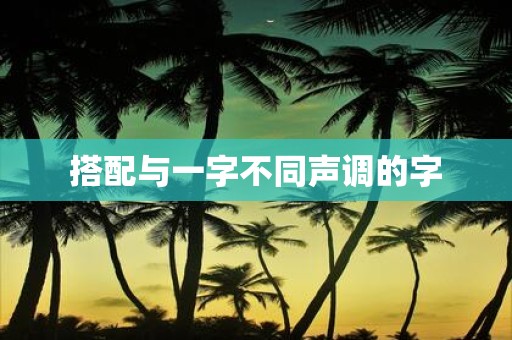 搭配与一字不同声调的字