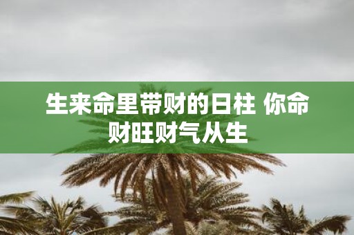 生来命里带财的日柱 你命财旺财气从生