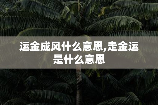 运金成风什么意思,走金运是什么意思