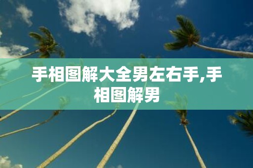 手相图解大全男左右手,手相图解男