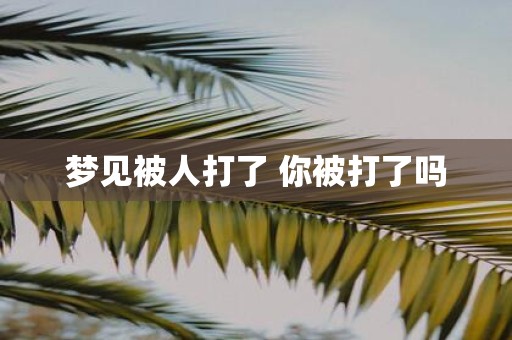 梦见被人打了 你被打了吗