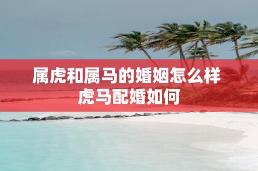 属虎和属马的婚姻怎么样 虎马配婚如何