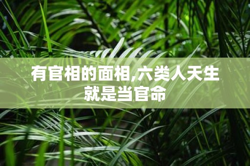有官相的面相,六类人天生就是当官命