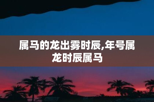 属马的龙出雾时辰,年号属龙时辰属马