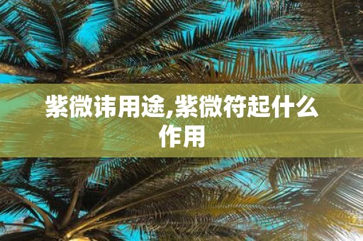 紫微讳用途,紫微符起什么作用