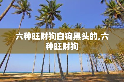 六种旺财狗白狗黑头的,六种旺财狗