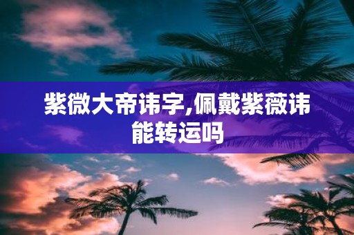 紫微大帝讳字,佩戴紫薇讳能转运吗