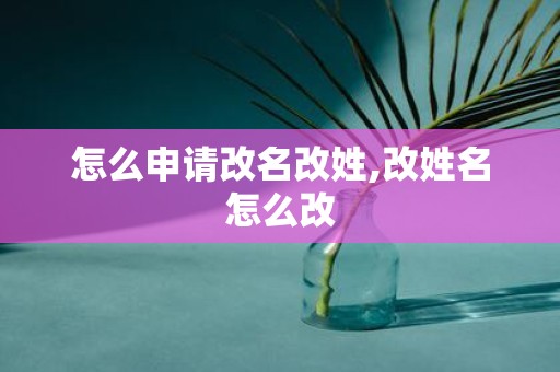 怎么申请改名改姓,改姓名怎么改