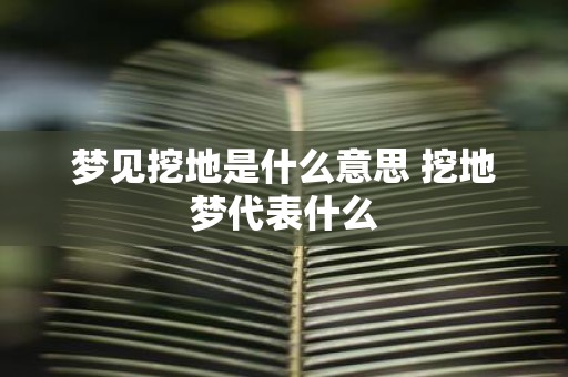 梦见挖地是什么意思 挖地梦代表什么