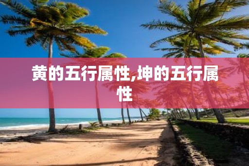 黄的五行属性,坤的五行属性