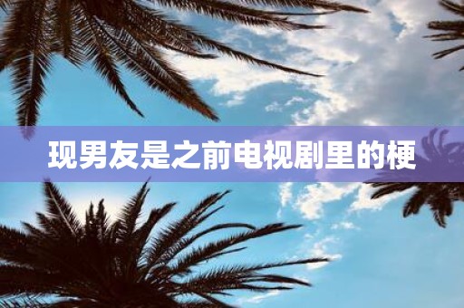 现男友是之前电视剧里的梗
