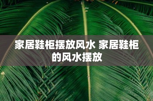家居鞋柜摆放风水 家居鞋柜的风水摆放
