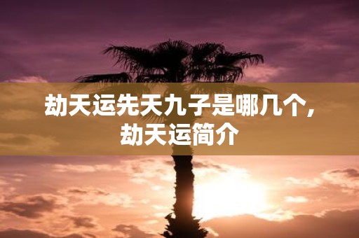劫天运先天九子是哪几个,劫天运简介