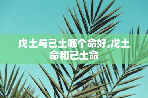 戊土与己土哪个命好,戊土命和己土命