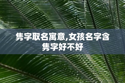 隽字取名寓意,女孩名字含隽字好不好