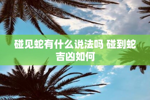 碰见蛇有什么说法吗 碰到蛇吉凶如何