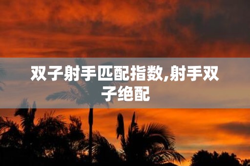 双子射手匹配指数,射手双子绝配
