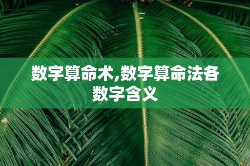 数字算命术,数字算命法各数字含义