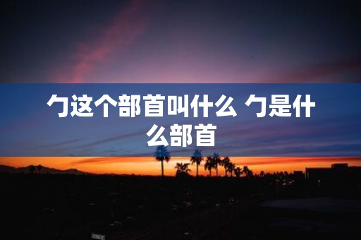 勹这个部首叫什么 勹是什么部首