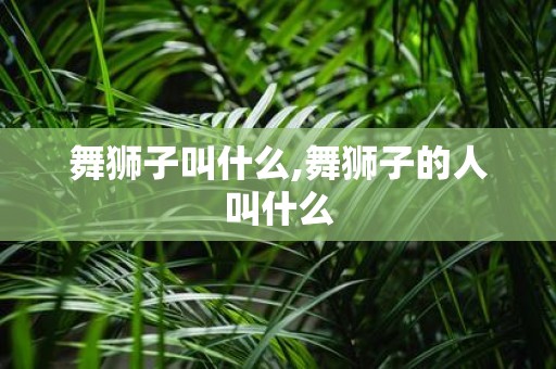 舞狮子叫什么,舞狮子的人叫什么