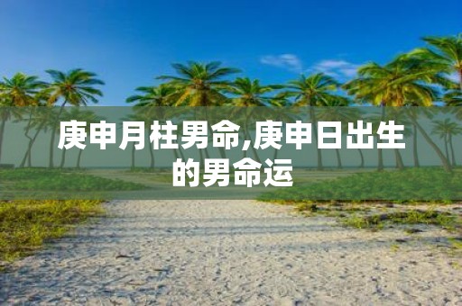 庚申月柱男命,庚申日出生的男命运