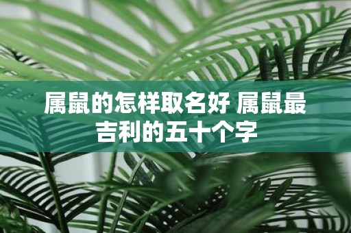 属鼠的怎样取名好 属鼠最吉利的五十个字