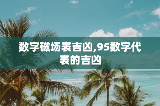 数字磁场表吉凶,95数字代表的吉凶