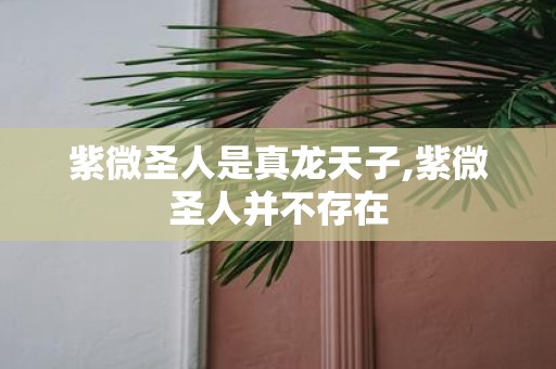 紫微圣人是真龙天子,紫微圣人并不存在