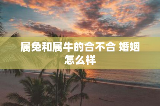 属兔和属牛的合不合 婚姻怎么样