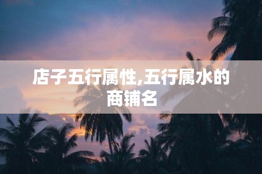 店子五行属性,五行属水的商铺名