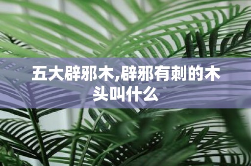 五大辟邪木,辟邪有刺的木头叫什么