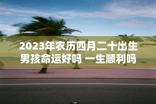 2025年农历四月二十出生男孩命运好吗 一生顺利吗