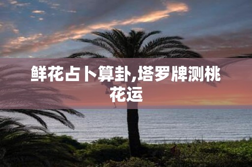 鲜花占卜算卦,塔罗牌测桃花运